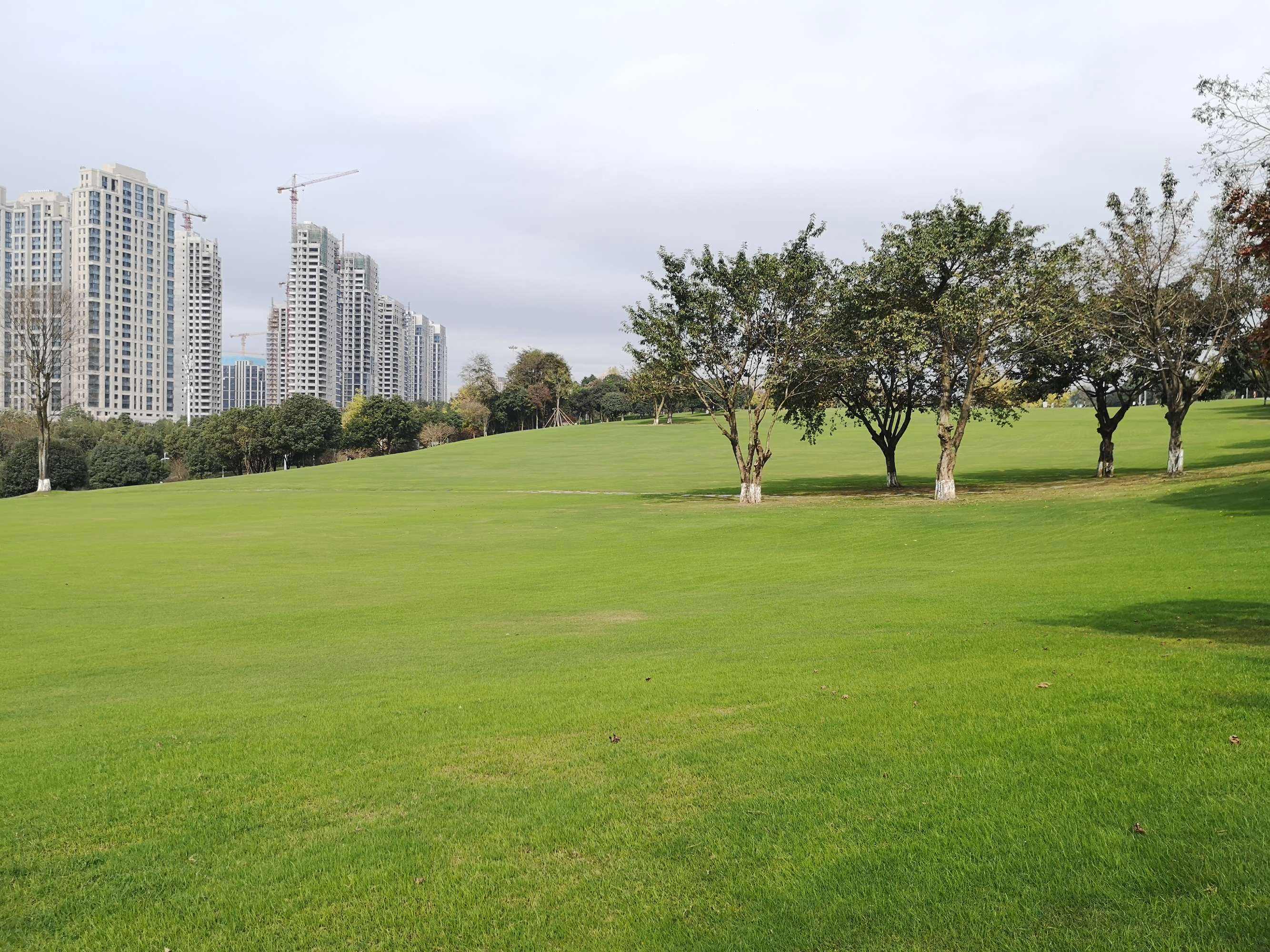 {老虎機}(中央公园西路北段多久通车)